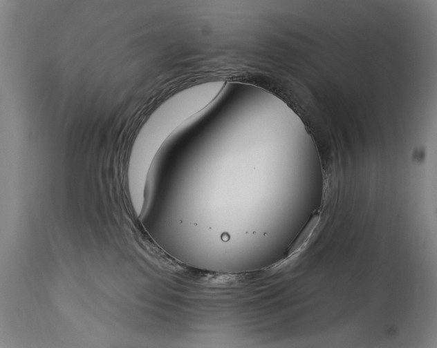 X0000115430186200911181509