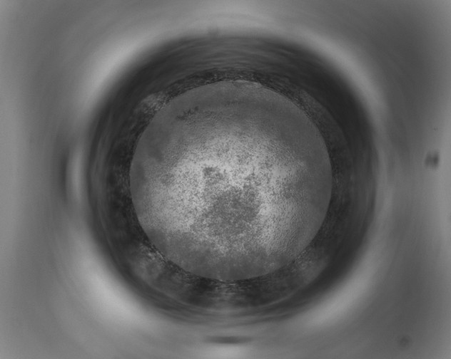 X0000115430189200911181509