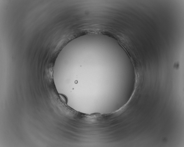 X0000115430190200911181509