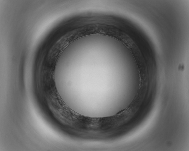 X0000115430191200911181509