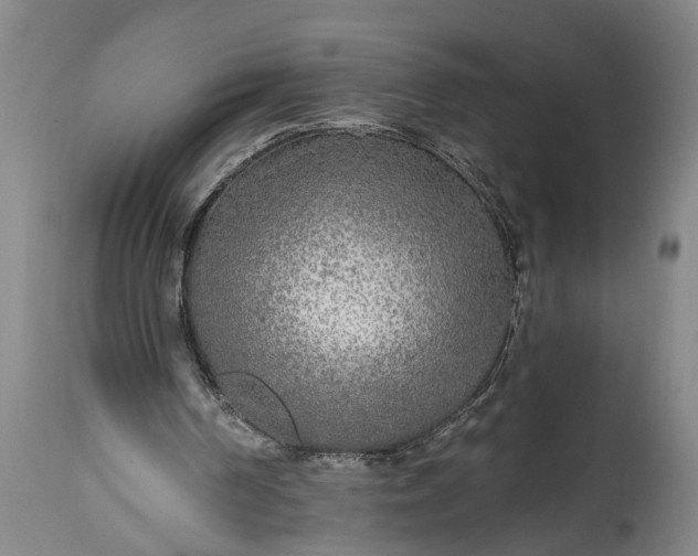 X0000115430194200911181508