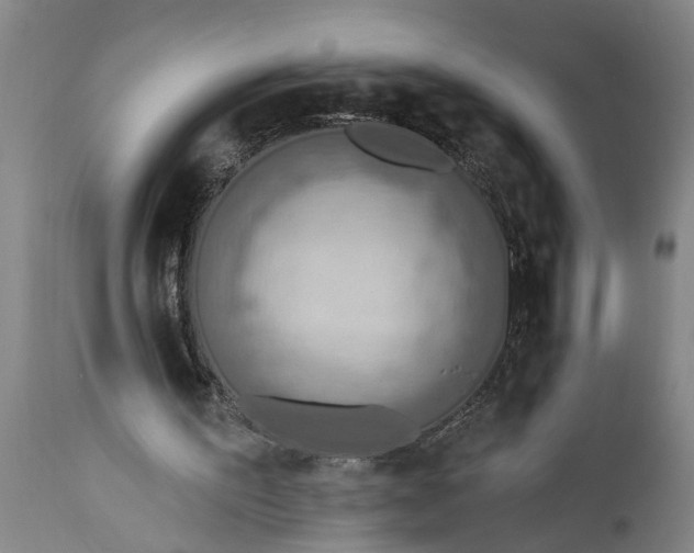 X0000115430195200911181508