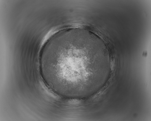 X0000115430198200911181508