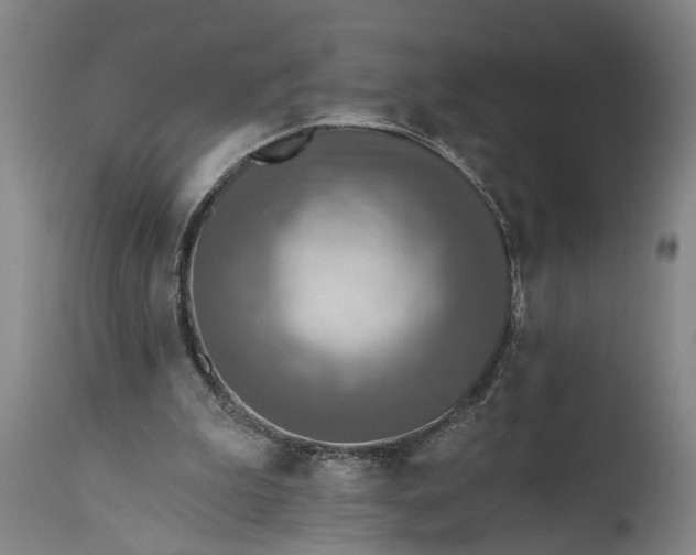 X0000115430199200911181508