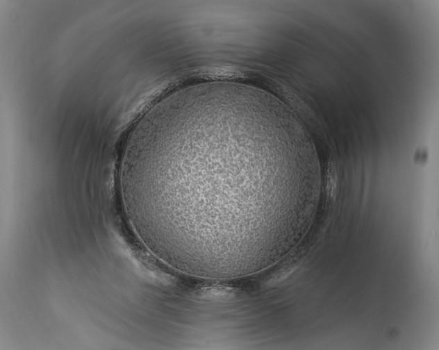 X0000115430206200911181508