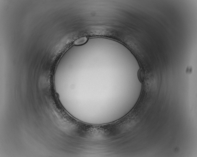 X0000115430207200911181508