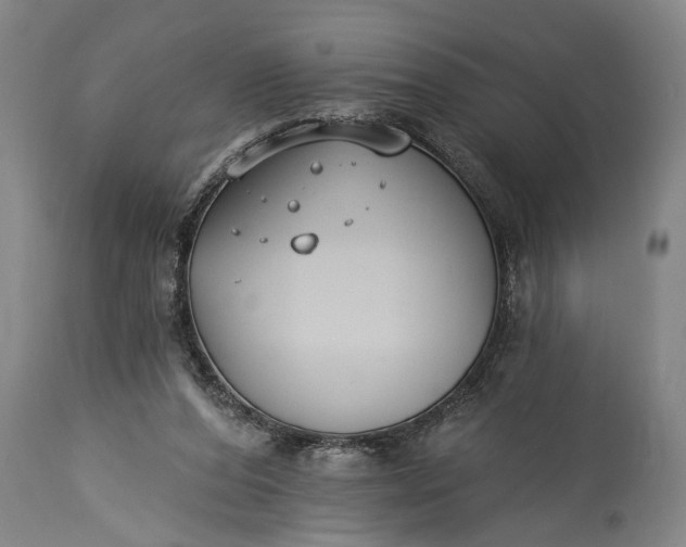 X0000115430208200911181508