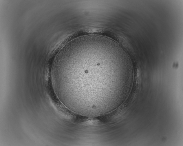 X0000115430210200911181508