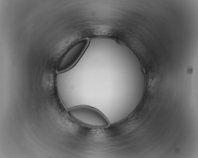 X0000115430211200911181508