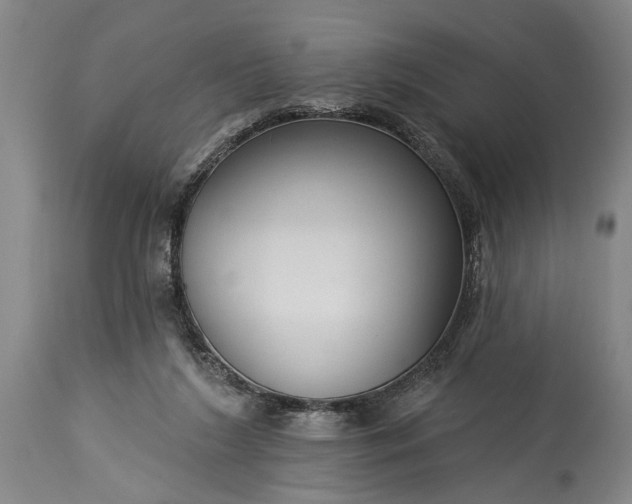 X0000115430212200911181508