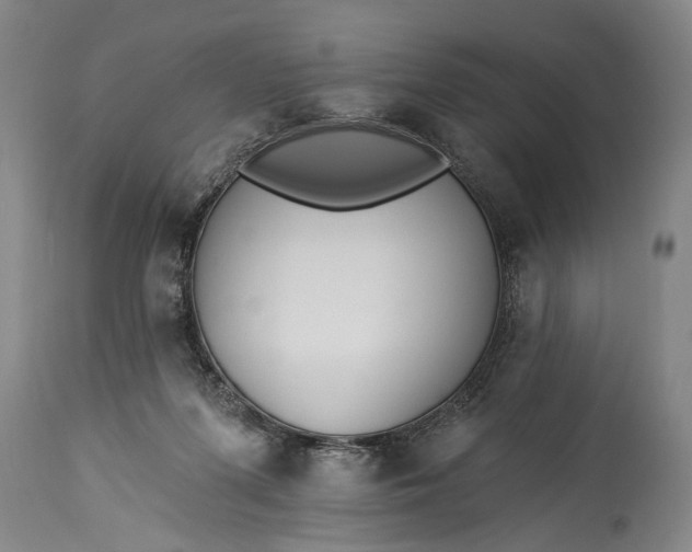 X0000115430215200911181508