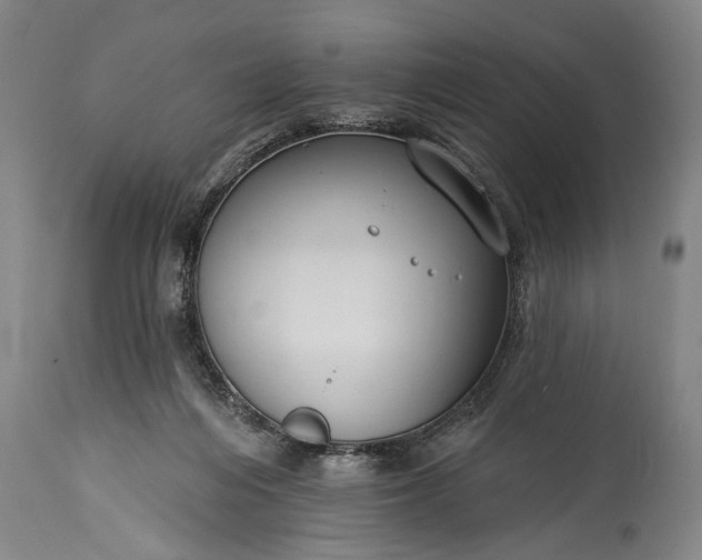 X0000115430216200911181508