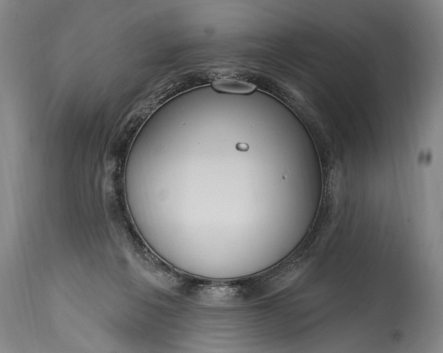 X0000115430217200911181508