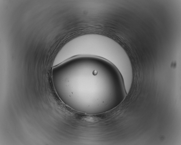 X0000115430221200911181508