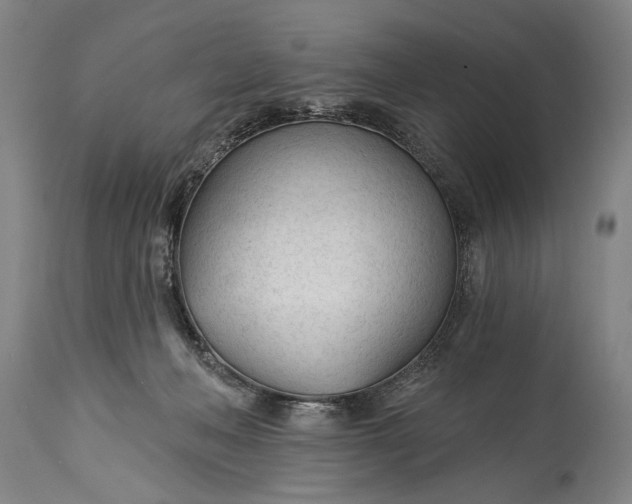 X0000115430222200911181508