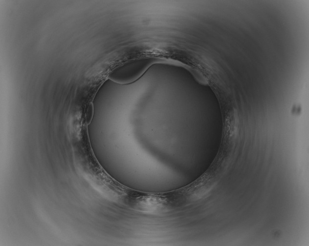 X0000115430223200911181508