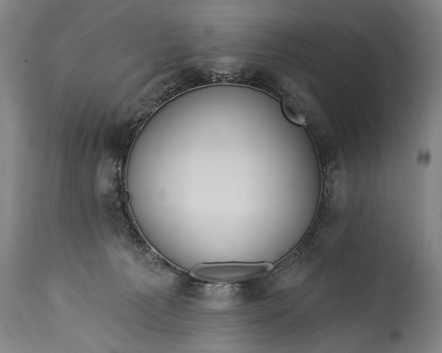 X0000115430225200911181508