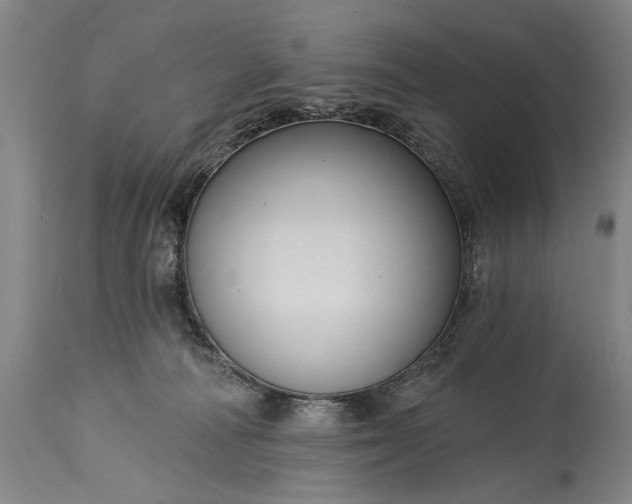 X0000115430226200911181508