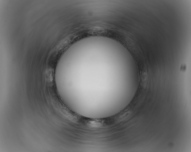 X0000115430232200911181508