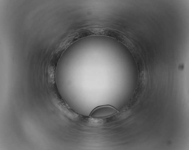 X0000115430234200911181508