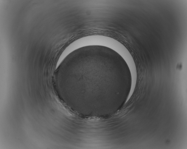 X0000115430235200911181508