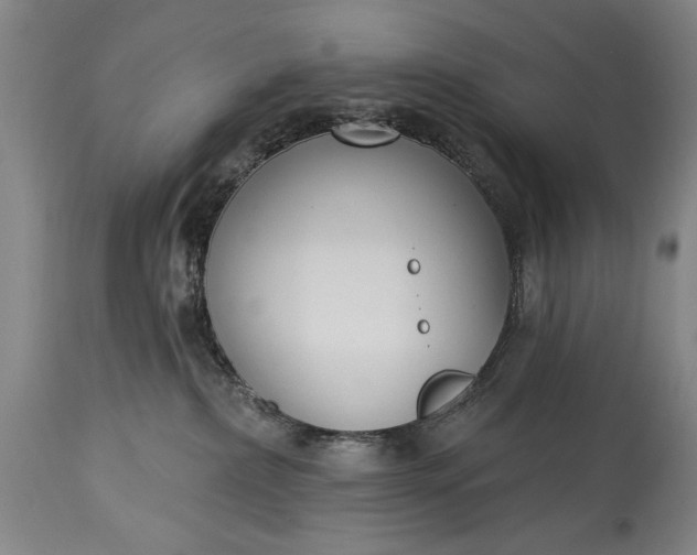 X0000115430236200911181508