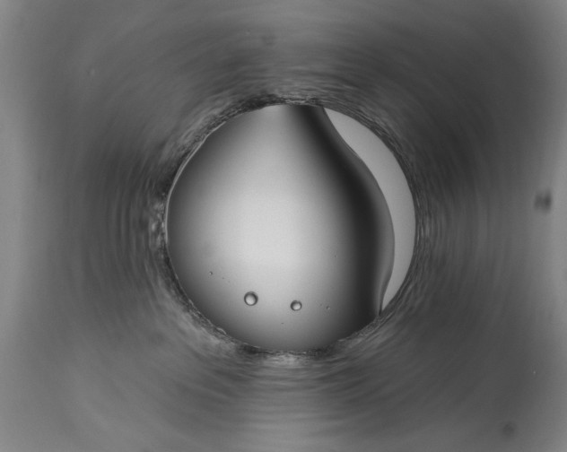 X0000115430237200911181508