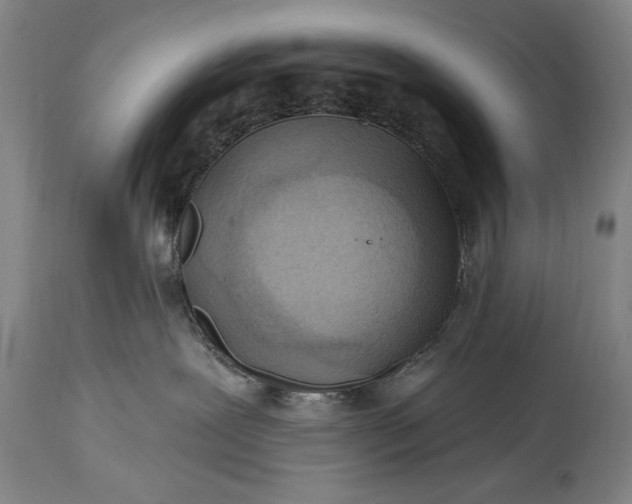 X0000115430239200911181508