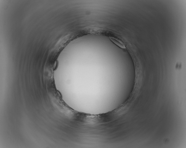 X0000115430240200911181508