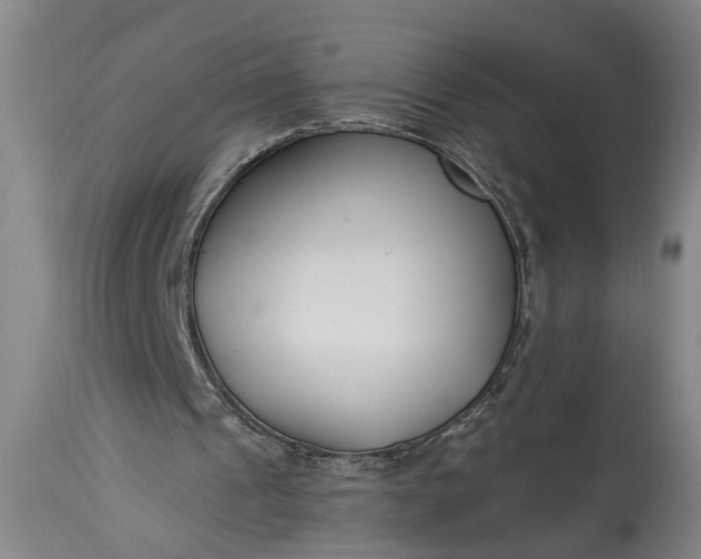 X0000115430241200911181507