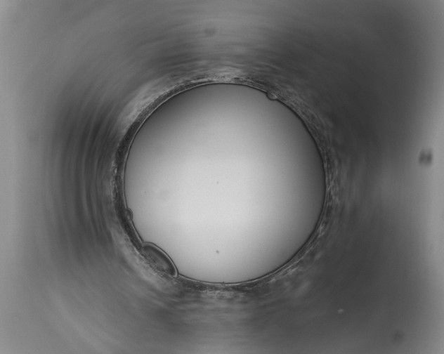 X0000115430242200911181507