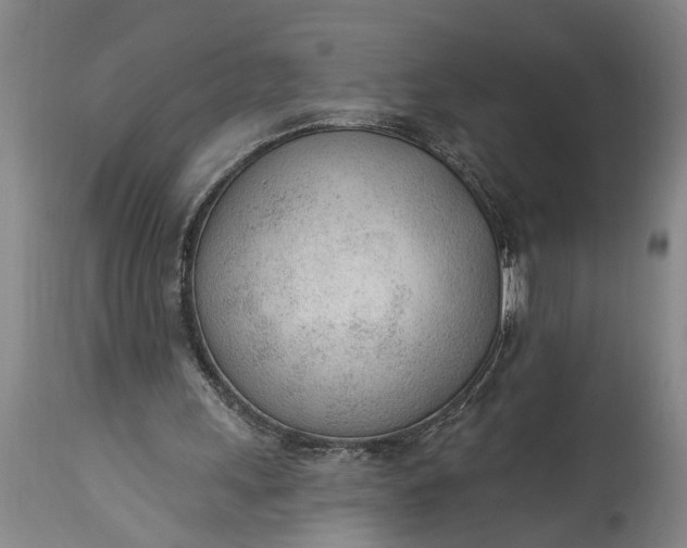 X0000115430243200911181507