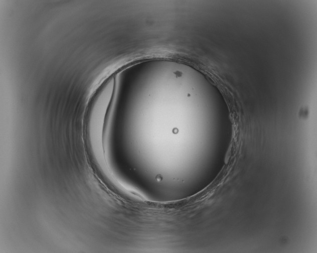 X0000115430244200911181507