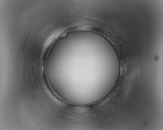 X0000115430245200911181507