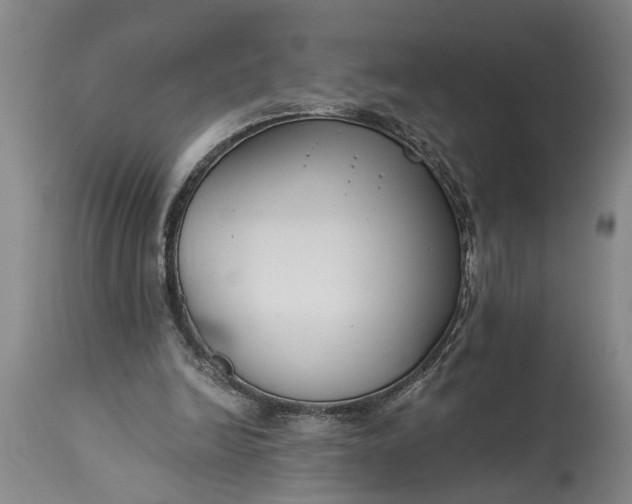 X0000115430246200911181507