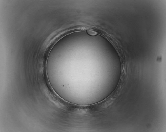 X0000115430247200911181507