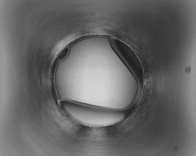 X0000115430248200911181507