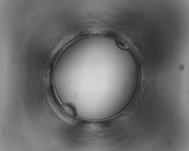 X0000115430250200911181507