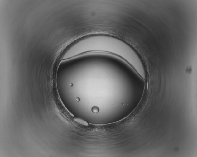 X0000115430252200911181507