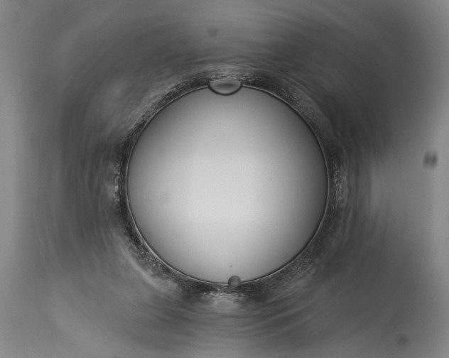 X0000115430255200911181507