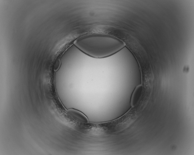 X0000115430256200911181507