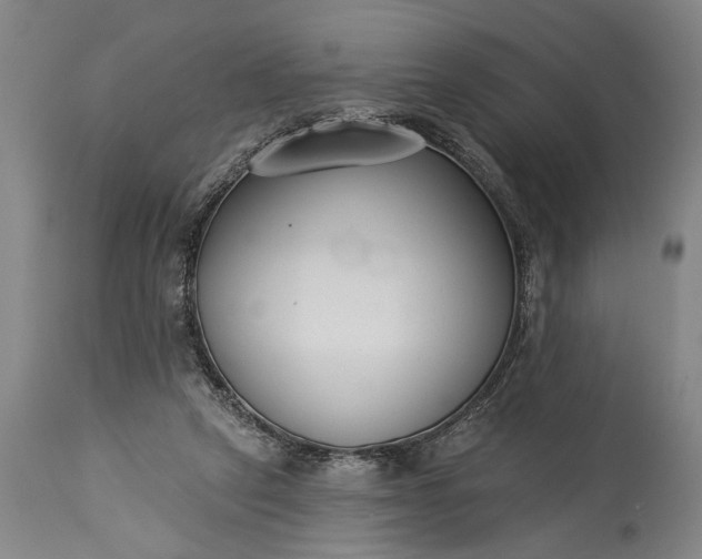 X0000115430257200911181507