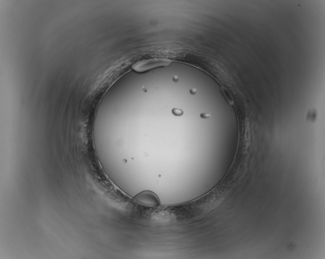 X0000115430258200911181507