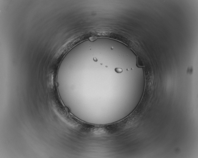 X0000115430262200911181507