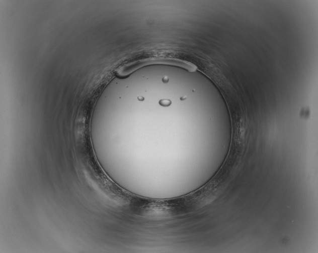 X0000115430263200911181507