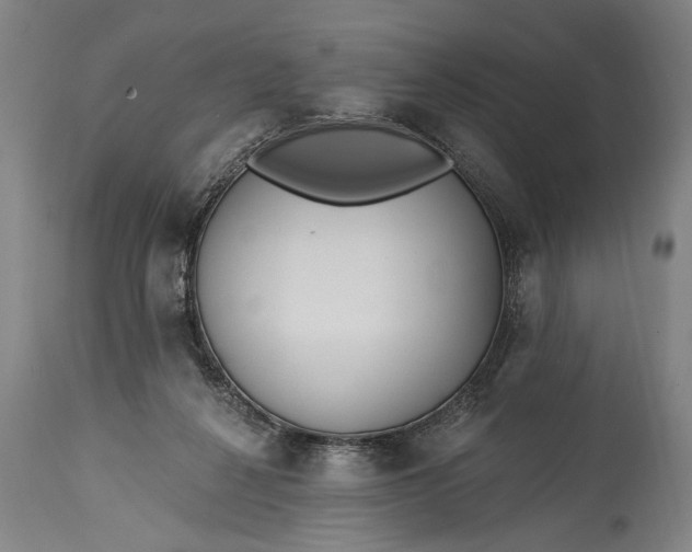 X0000115430264200911181507