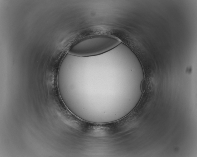 X0000115430268200911181507