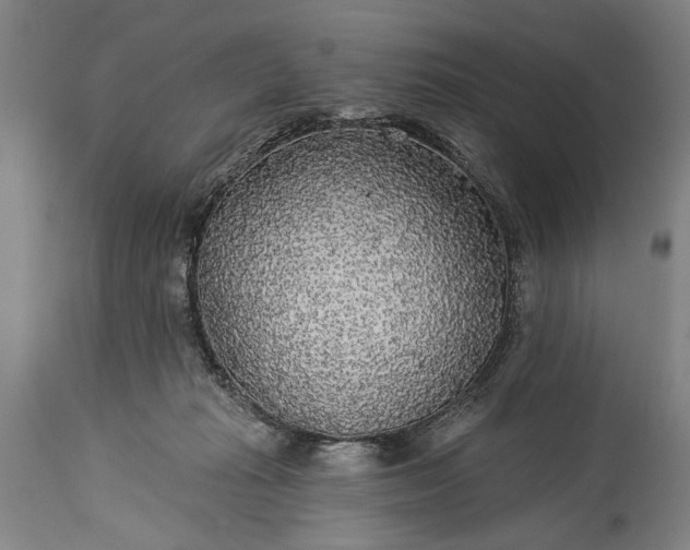 X0000115430269200911181507