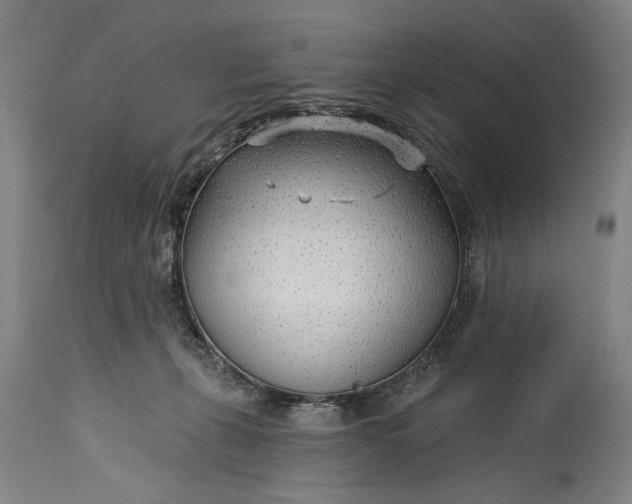 X0000115430271200911181507