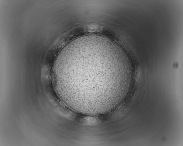 X0000115430272200911181507